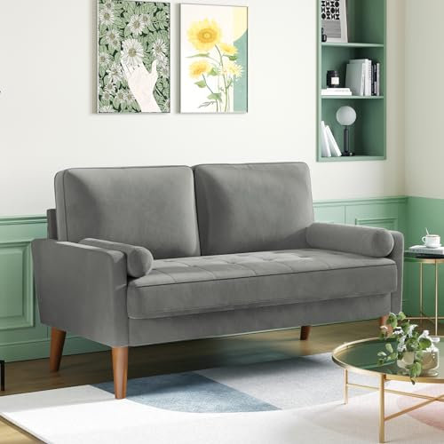 Meskanu Couch 2 Sitzer, 121 cm Samt Kleines Sofa mit 2 Wurfkissen, Modern Mini Sofa, Getuftetes Kleine Couch für Wohnzimmer/Schlafzimmer/Büro/Wohnung, Grau