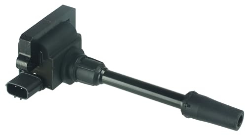 Ignition Coil – Delphi GN10493 12B1