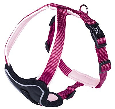 Nobby Komfort Geschirr Classic Preno, himbeere/pink L: 75-90 cm, B: 35 mm, 1 Stück