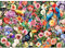 Jigsaw Puzzles for Adults 1000 Piece Jigsaw Puzzles for Adult Educational Game Challenge Toy 1000 Pieces Puzzle for Adults Kids.Educational Games Home Decoration.Theme: Flowers and Birds