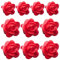 Geld-Pflanzenclips für die Wand, Wandclips für Pflanzenreben | 10 x unsichtbare Wandclips in Blumenranken für Reben - Werkzeug zum Ziehen der Pflanze mit Aufklebern