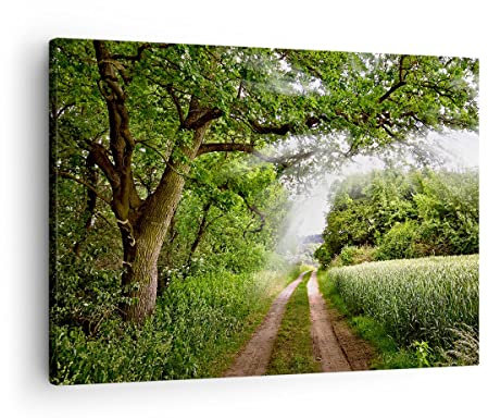 Bilder auf Leinwand Pfad Natur Wald Grün Leinwandbild mit Rahmen 70x50cm Wandbilder Dekoration Wohnzimmer Schlafzimmer Küche Deko Klein Wanddeko Bild Wand Kunstdruck Art Wall Decor Canvas AA70x50-2637