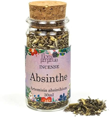 30 ml 8 g de incienso de hierbas hojas en botella de vidrio tapón de corcho + 10 carboncillos + caja antigolpes quemadores difusores esencias fragancia Asenzio Artemisia Absinthium