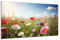 DARO Design - Wand-Bild auf 6mm HDF 84x56 cm Blumenwiese bunt - Wand-Deko Bilder Geschenk