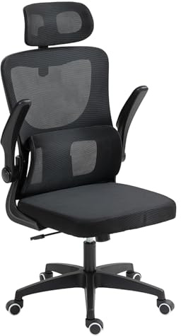 Panana Ergonomic Mesh Office Chair High Back Home Desk Chair with Flip-up Armrest Lumbar Support Swivel Computer Task Chair (Black)