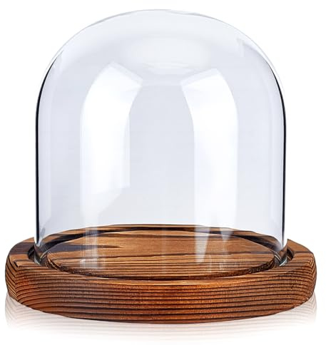 MAYJOYDIY Cloche en Verre 12.1x11.5cm Cloche Décorative en Forme de Cloche pour Plantes Objets de Collection Figurines Photos de Fleurs Éternelles (Base Marron Noix de Coco)