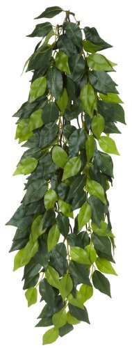 Exoterra Décoration Ruscus Plante Grand Modèle pour Reptiles et Amphibiens
