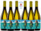 Vino Gallego de Autor - Vino Blanco Afrutado - Caja de 6 Botellas x 75 cl - Alcohol 12% Vol - para Regalar – Vino Gourmet de la Dieta Atlántica - ALMAVIÑO