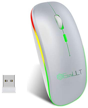 EasyULT Mouse Bluetooth Ricaricabile, Mouse Silenzioso a Due Modalità (BT 5.1+2.4G Wireless), Mouse da Viaggio Portatile Senza Fili Ottico, 3 Livelli DPI(800/1200/1600), 4 Pulsanti(Argento)