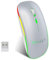 EasyULT Mouse Bluetooth Ricaricabile, Mouse Silenzioso a Due Modalità (BT 5.1+2.4G Wireless), Mouse da Viaggio Portatile Senza Fili Ottico, 3 Livelli DPI(800/1200/1600), 4 Pulsanti(Argento)