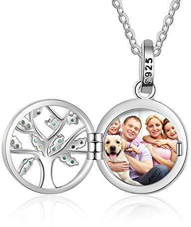 Personnalisé Sterling argent Médaillon Collier Arbre de La vie Personnalisé Photo Cœur Pendentif Colliers pour Femmes Les filles Charme Bijoux Cadeau Image Gravure Texte Souvenir Chaîne de 18 pouces