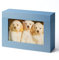 Aiuonenian Foto-Aufbewahrungsboxen aus Karton, 12,7 x 17,8 cm, für Familie und Hochzeit, Schokolade, Geschenkboxen, Postkartenbox (blau)