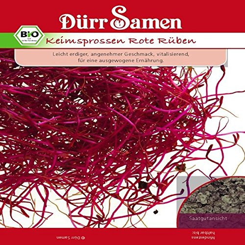 BIO Keimsprossen Rote Rüben - Inhalt: 30 g