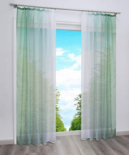 BAILEY JO 2er-Pack Gardinen mit Verlauf-Farben Muster Vorhang Transparent Voile Vorhänge mit Kräuselband (BxH 140x225cm, Grün)