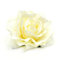 Wisafory 10 Stück Künstliche Blumenköpfe Rosen Blütenköpfe RosenKöpfe Kunst Blumen Rosen Köpfe Kunstblumen Rosen Seidenblumen Dekoration für Hochzeit Party DIY Basteln 11 cm Beige