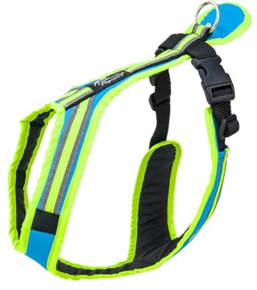 Safety Führ- und Zuggeschirr | Mantrailing | Canicross | Zughundesport | Alltagsgeschirr | Führgeschirr (Türkisblau-Neongrün, SL - 10-14 Kg)