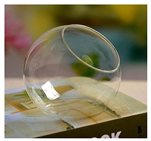 Aquarium Klar Fisch Schale, Kreative Exquisite und ästhetische runde Vase aus abgeschrägtem Glas im europäischen Stil, modische Heimdekoration, Kunsthandwerk, Aquarium(Diameter 8cm)