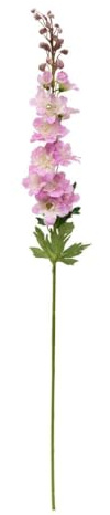 Atmosphera - Rittersporn-stängel phoebe h79 cm rosa - Modell D