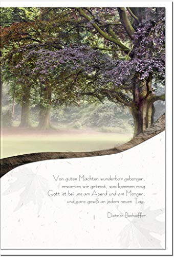metALUm Trauerkarte BEISTAND | Baum im Nebel 3300024