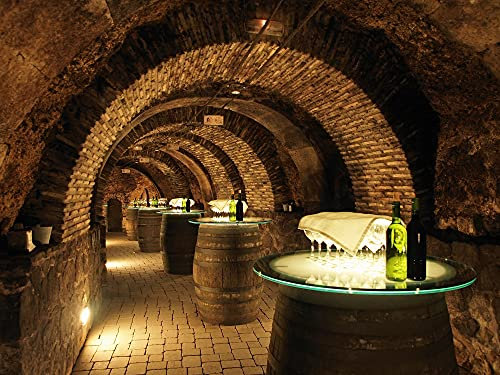 WEINKELLER Fototapete VLIES-400x260 cm (3038A)-Vintage Bar Retro Bistro Grotte Steinwand Ziegelwand Pub-Inkl. Kleister-Vliestapete Bild Dekoration Wand-Dekor Moderne Motiv-Tapete Panorama Poster XXL