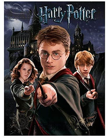 Harry Potter Kunstdruck auf Leinwand, 40 x 50 cm, Schwarz / Beige