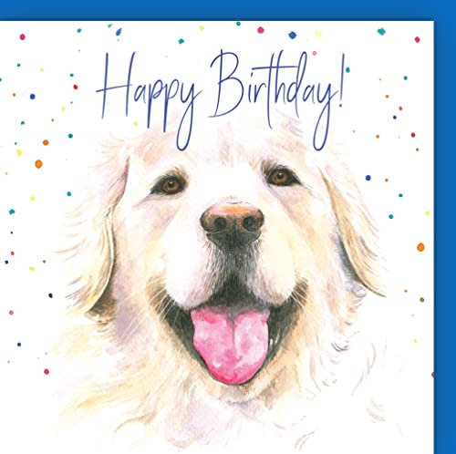 Geburtstagskarte mit Labrador-Motiv, lächelnder Hund, Happy Birthday, hochwertig, blanko – Geburtstagskarte für Männer, Frauen und Kinder, Hundeliebhaber