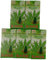 Vorteilspack 5 x Cannabis-RÄUCHERKERZEN (pro Schachtel 24 Räucherkegel)