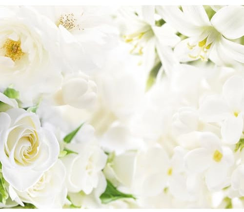 decomonkey Fototapete Blumen Rose 350x256 cm XXL Design Tapete Fototapeten Vlies Tapeten Vliestapete Wandtapete moderne Wand Schlafzimmer Wohnzimmer Natur Lilien