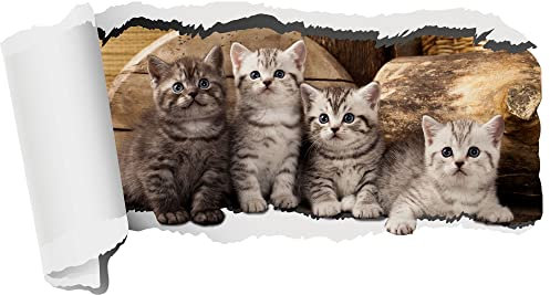 GRAZDesign Wandtattoo Katzen, Kleine Katzen, Babykatzen, Wandaufkleber für Wohnzimmer Kinderzimmer Tapete selbstklebend (92x50cm)