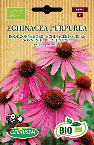 Germisem Orgánica Echinacea Purpurea Semillas de Equináceas Púrpura 0.5 g
