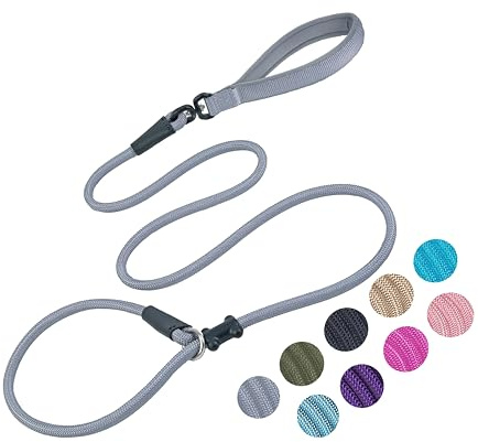 Slip Lead Dog Leash Strong Nylon Rope Leash with Comfortable Handles and Walking Training Lead for Small Medium Large Dogs (Grey, 1/2×6ft)