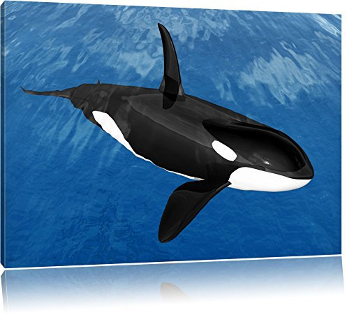Pixxprint schöner Orca im Meer B&W, Größe: 120x80cm, Leinwandbild, fertig gespannt, Wandbild, Dekoration, Kunstdruck, kein Poster