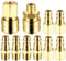 10 x Euro 1/4 NPT Raccordo per Aria Compressa, 1/4BSP Accoppiatore Rapido Quick per Tubi, Raccordi Connettore ad Aria Rapido, Attacco per Tubo d'Aria Compressore