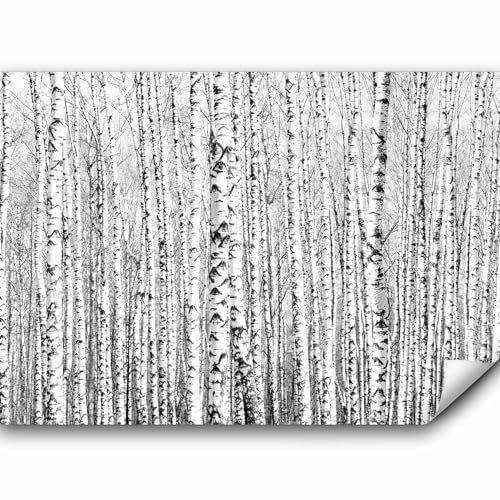 Fototapete murando Baum 150x105 cm Vlies Tapeten Wandtapete XXL Moderne Wanddeko Design Wand Dekoration Wohnzimmer Schlafzimmer Büro Flur Birke Wald Landschaft Natur schwarz weiß