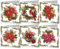 CXINLky 5D DIY Diamond Painting Karten, 2024 Neuheiten Diamond Painting Karten, 6 Stuck Diamond Painting Karten Geburtstag, Geschenkkarte Feiertags für Familie, Liebhaber-28-Weihnachtsstern