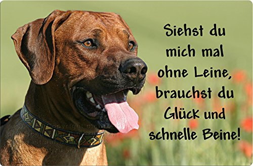 Nanyuk +++ Rhodesian Ridgeback - Metall Warnschild Schild Hundeschild Sign - RRB 31 T12