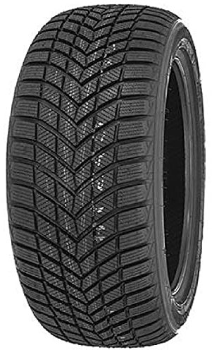 INFINITY 205/50 R 17 93V Ecozen XL Wint