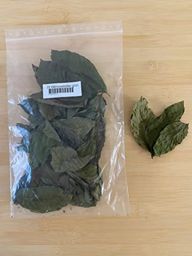 Getrocknete Walnussblätter grün (25 Stück, ca. 15 Gramm) für Aquarien Garnelen Schnecken Fische Welse