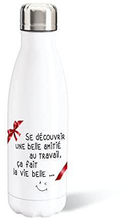 Luigi Collection Bouteille d’Eau 500ml Aluminium Collègue Gourde Réutilisable Ecologique. Idée Cadeau Original Humour Homme Femme Retraite Mutation Pot Départ Sport Voyage Bureau Anniversaire Noël