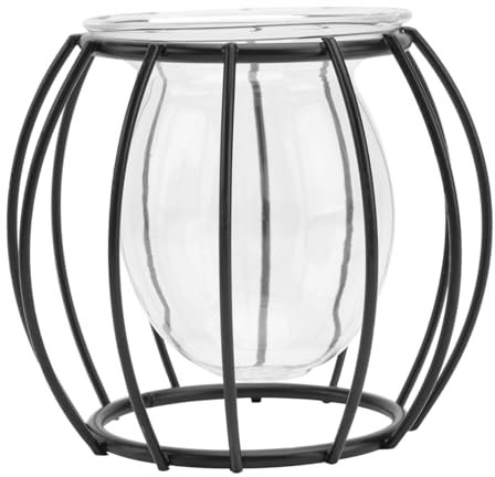 CAXUSD Squisito Vaso Decorativo Idroponico Tubolare Centrotavola Vaso per Tavolo Moderno Vaso Nero Ferro Rack