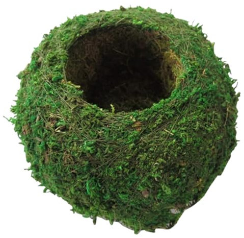 Maceta de musgo de 6 pulgadas MOUNTTU, Bonsai Moss Kokedama, verde, para interior y exterior, 15x15x9 cm