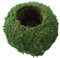 Maceta de musgo de 6 pulgadas MOUNTTU, Bonsai Moss Kokedama, verde, para interior y exterior, 15x15x9 cm