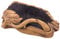 YeahiBaby Baumstamm Blumentopf Holz Pflanzkübel Blumenkübel Vintage Sukkulente Pflanze Töpfe