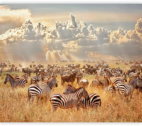 murando Fototapete selbstklebend Afrika 441x315cm Foto Tapete Tapetenfolie Möbelfolie Wandverkleidung Wandtapete Motivtapeten Bildtapete Schlafzimmer 3d Effekt Tiere Savanne Landschaft Natur
