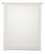 STORESDECO Lichtdurchlässig Rollo, Glatt, Rollo für Fenster und Türen | Ekrü, 160 cm x 180 cm