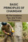 Basic Principles Of Chainsaw: All The Guidance, Tips, And Tricks For Chainsaw: How To Sharpen A Chainsaw