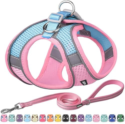AIITLE Hundegeschirr, No-Pull Katzengeschirr mit Einer Leine, einstellbare reflektierende Hundeweste, Welpengeschirr Escape Proof, Outdoor Walking für extra kleine Hunde und Hauskatzen Rosa XXXS