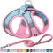 AIITLE Hundegeschirr, No-Pull Katzengeschirr mit Einer Leine, einstellbare reflektierende Hundeweste, Welpengeschirr Escape Proof, Outdoor Walking für extra kleine Hunde und Hauskatzen Rosa XXXS