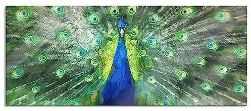 Pixxprint Glasbild Panorama, Wandbild aus Echtglas, Pfau mit seinem Gefieder, 100x40 cm, inkl. Aufhängung und Abstandshalter