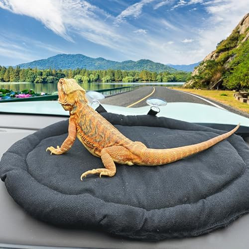 Gosknor Bartagamenbett, Schwarzes Reptilien Schlafbett Bartagamen Couchbett aus Canvas Gummi fürs Auto Bartagamen Träger für Reptilien